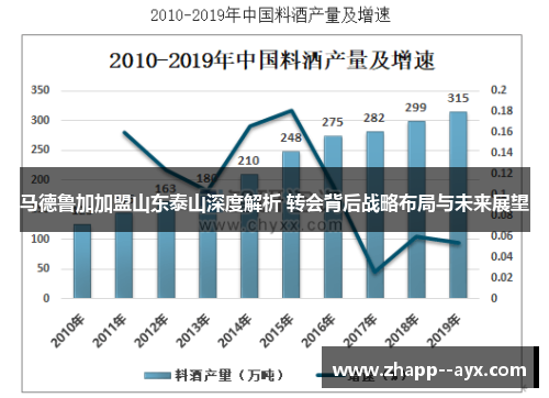 马德鲁加加盟山东泰山深度解析 转会背后战略布局与未来展望