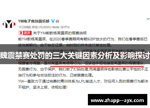 魏震禁赛处罚的三大关键因素分析及影响探讨 魏震禁赛处罚的三大关键因素分析及影响探讨