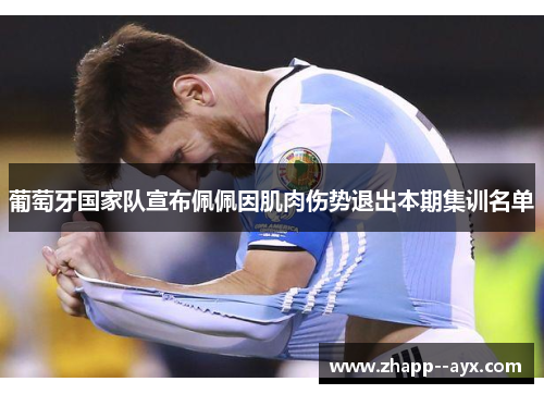 葡萄牙国家队宣布佩佩因肌肉伤势退出本期集训名单 葡萄牙国家队宣布佩佩因肌肉伤势退出本期集训名单