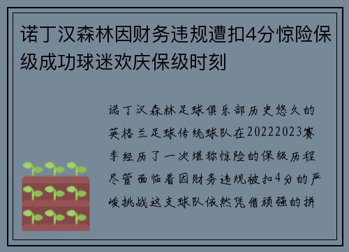 诺丁汉森林因财务违规遭扣4分惊险保级成功球迷欢庆保级时刻 诺丁汉森林因财务违规遭扣4分惊险保级成功球迷欢庆保级时刻